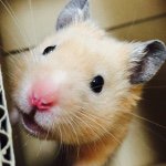 11410444_849579088452134_508161672_a