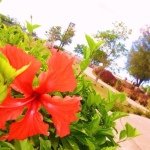 926842_586336334810992_104050967_a