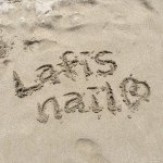 10251401_1452476571741266_778971890_a