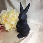 10748018_980730905287516_179373477_a