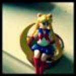 11352877_863771233693005_1032853848_a