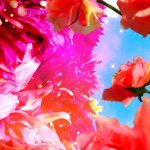 11191104_1578073052444298_332509249_a