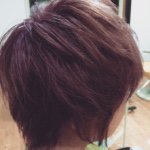 11261023_1576355119283185_887954162_a