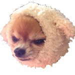 10898972_308811605975831_143267304_a