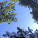 11849895_1496471960645790_1307080531_a