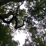 11371196_984715591581175_17213404_a