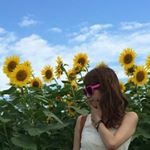 11337146_889930504378191_716172235_a