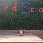 11375156_1016054858439069_1137443205_a