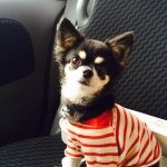 11311350_809172865845388_1587350329_a