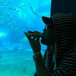 11420783_893848580686515_792343459_a