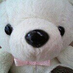 10453962_543566942415667_1636230388_a