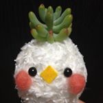 11330637_107963289555475_1898432799_a