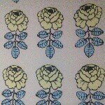 10507819_1447293628871814_1319354364_a