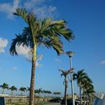 11881575_938846796157081_1744629657_a