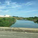 11357805_533266356824034_1664158360_a