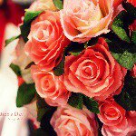 11311280_1623122371291615_1858639381_a