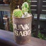 11018463_1411096052529588_379100554_a