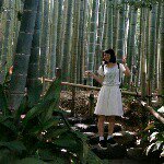 10005684_452330804907241_1861384062_a