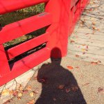 10802606_598063313632296_981195387_a