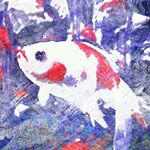 11930807_664458890357039_912013439_a