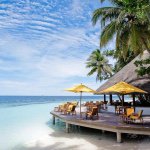 11375234_476370715858581_1138927717_a