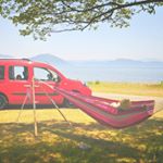 11311571_591756877631915_1924881103_a