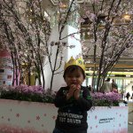 10919680_818937174814306_794798001_a