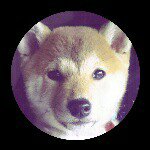 10413905_1626984450870238_2112460828_a