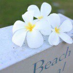 10817759_730867160333302_28038641_a