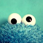 10986076_860362707340384_353720468_a