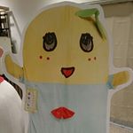 11849234_1012563338764673_1587247278_a