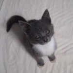 11357757_885173748237352_2027136461_a