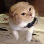 1208414_759913634043814_657960585_a