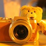 11420907_1506182853006362_1112286655_a