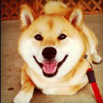 10593517_501208056648267_1283747068_a