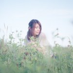 11820450_144276642577175_244585189_a