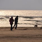 10895389_406205466212187_2060004597_a