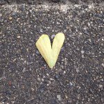 10561205_367800340080413_108223692_a