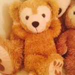 11018349_1374489682870575_1059245798_a