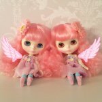 10518106_1605428149673322_161177571_a