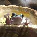 11881711_393814514148136_1599524708_a