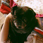 10844216_1547251562187481_244926951_a