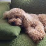 1660259_798706770227778_1615118156_a