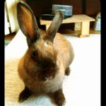 11410427_917390738322121_326030406_a