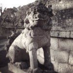 11084797_885320381539509_715171883_a