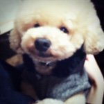 10755857_1541093009479527_1582008514_a