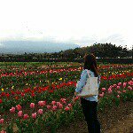 11245061_1443305689313084_459769334_a