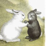 11142257_1596338587302037_1214240142_a