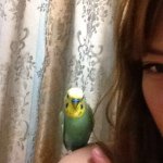 10665460_634793849975104_1580685137_a