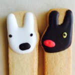 11325627_389002271288131_578282947_a